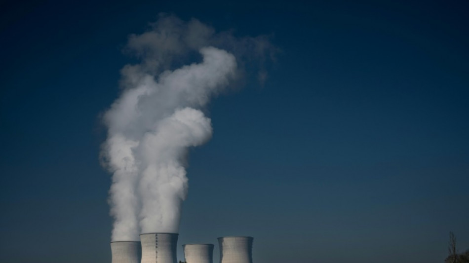Atomkraftgegner fordern von Berlin Einspruch gegen franz&ouml;sisch-russisches Joint Venture