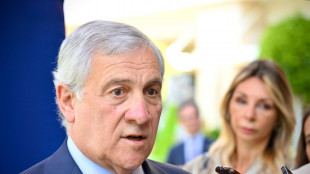 Tajani, dl cittadinanza restituisce dignità a un diritto