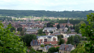 "Prime à l'accouchement": petite ville cherche mamans pour sauver sa maternité