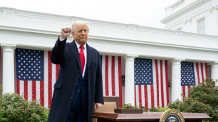 America's passion for tariffs rarely pays off, economists warn