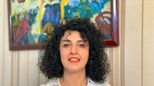 Ir&atilde; condena ganhadora do Nobel a seis anos de pris&atilde;o