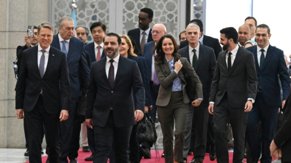 UN Security Council says ready to support Syria on first-ever visit