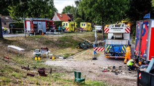 Seis muertos tras arrollar un cami&oacute;n espa&ntilde;ol a un grupo en una barbacoa en Pa&iacute;ses Bajos