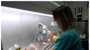 Malattie rare, al via campagna 2026 per accesso equo a terapie