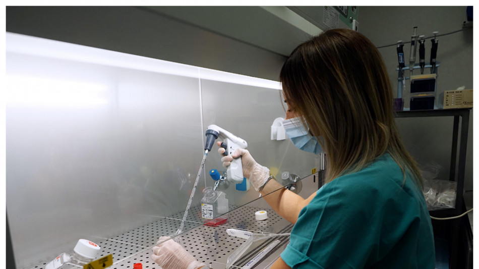 Nuovo farmaco sperimentale agisce in modo mirato sul fegato per ridurre i trigliceridi