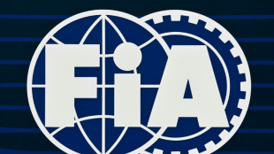 Election à la FIA: la justice française saisie pour empêcher une candidature unique de Ben Sulayem