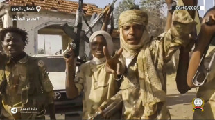 Los aliados del ej&eacute;rcito de Sud&aacute;n acusan a los paramilitares de ejecutar a 2.000 civiles en Darfur
