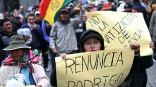 El Congreso de Bolivia abre la v&iacute;a para que Paz pueda controlar las protestas con militares