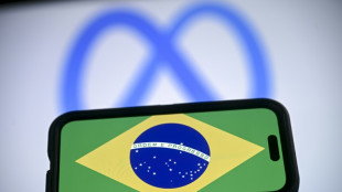Elections au Br&eacute;sil : des experts de l'ONU exhortent Meta &agrave; prot&eacute;ger la libert&eacute; d'expression