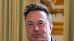 Un Elon Musk d&eacute;complex&eacute; fait son show &agrave; Paris, sans annoncer d'usine Tesla en France