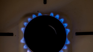 Il gas chiude in forte rialzo verso i 40 euro al megawattora