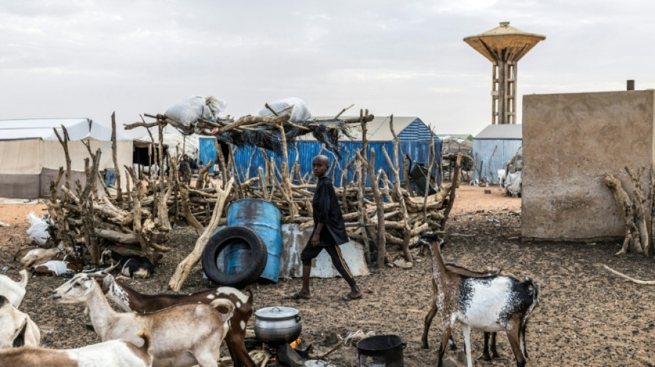 Mali faces advancing rebels in 'difficult' situation 