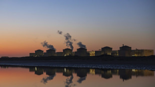 R&eacute;acteurs nucl&eacute;aires EPR2: nouveau surco&ucirc;t pour le "chantier du si&egrave;cle"