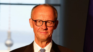 Hobbypilot Merz könnte Regierungsmaschine zur Not "vielleicht landen"