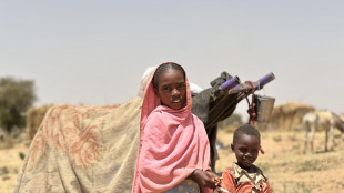 Onu, in Sudan si preparano scontri pi&ugrave; intensi nel Kordofan