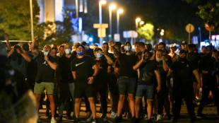 'Ready for violence': Serbian hooligans target protesters