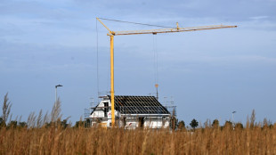 Januar bis Oktober: Rund 195.000 neue Wohnungen genehmigt - Plus von elf Prozent 