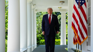 Trump, ci saranno tre giorni di tregua in Ucraina, dal 9 all'11 maggio