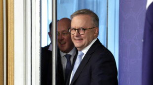 Ein "Ja" am Valentinstag: Australiens Premierminister Albanese hat sich verlobt