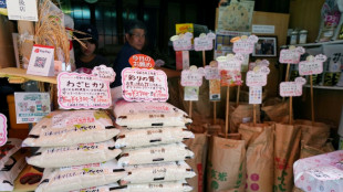 Japan hikes interest rates to 30-year-high