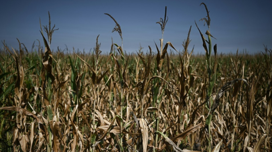 La France sous les ardeurs d'un nouvel &eacute;pisode caniculaire