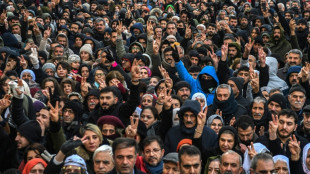 Les Kurdes de Turquie se mobilisent pour leurs "fr&egrave;res" en Syrie