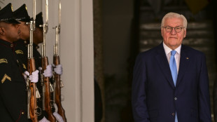 Steinmeier startet Kampagne zu neuem "Ehrentag" am 23. Mai