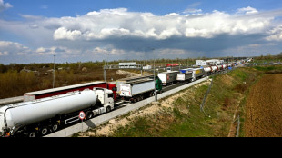 Bosnian truckers blocked EU freight terminals for a day over visa rules