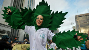 Brésil: un tribunal autorise trois patients à cultiver du cannabis à usage médical