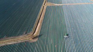 Erntemenge und Anbaufl&auml;che von Spargel in Deutschland r&uuml;ckl&auml;ufig