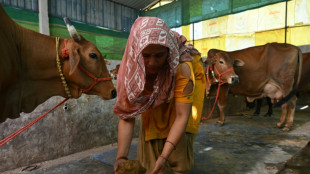 India's cows offer biogas alternative to Mideast energy crunch