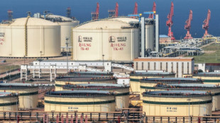 Chine: les &eacute;missions de CO2 baissent &agrave; cause des difficult&eacute;s autour du p&eacute;trole au Moyen-Orient