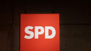 Union kritisiert SPD-Mitgliederbegehren als "bizarr"