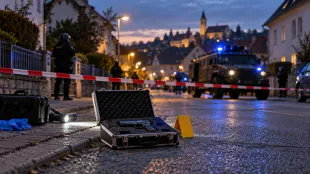 SEK nimmt Mann nach Sch&uuml;ssen in Oberfischach fest