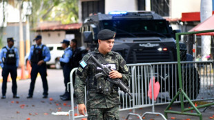 Observers say Honduran election fair, but urge faster count