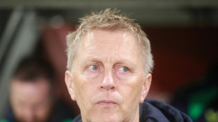 Emisi&oacute;n pero en silencio: el apoyo de Irlanda a Gaza se traslada al f&uacute;tbol