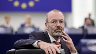 Weber con l'oppositore di Orban, 'è lui la voce dell'Ungheria'