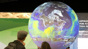 Climat: réunie à Paris, la finance française a dû défendre son action