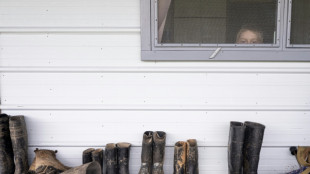 Fiscal&iacute;a llevar&aacute; a juicio a menonitas por deforestaci&oacute;n en Colombia