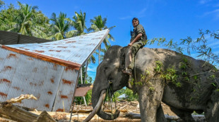 Inondations en Indonésie: le bilan monte à 950 morts et 5.000 blessés