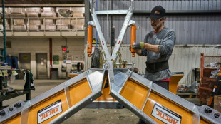 "J'ai perdu New York": au Canada, la guerre commerciale de Trump asphyxie certaines petites entreprises