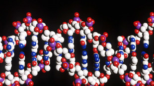 Il Dna antico riscrive la ritirata di Napoleone dalla Russia