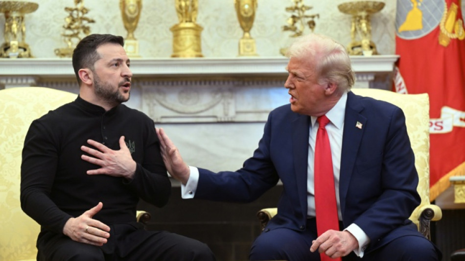Pourparlers sur l'Ukraine: Trump "extrêmement frustré" par Kiev et Moscou