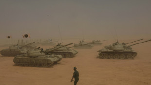 'Message for friends and foes': Libyan National Army conducts grand exercises