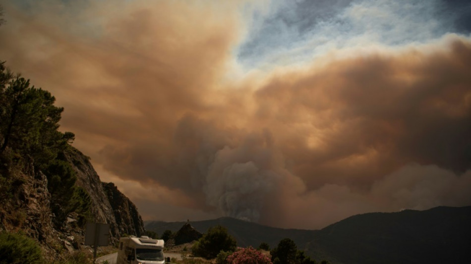 Vuelven a casa 2.000 personas que fueron evacuadas por un incendio en Espa&ntilde;a