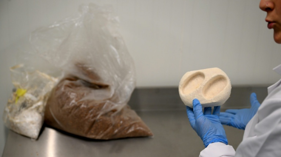 "Fini la p&eacute;trochimie": &agrave; Bruxelles, des emballages &agrave; base de champignons 