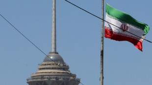 Trump quiere que acuerdo con Ir&aacute;n incluya normalizaci&oacute;n de relaciones de pa&iacute;ses musulmanes con Israel