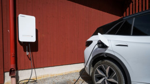 'Battery on wheels': Sweden powers homes with EVs