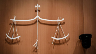 Poup&eacute;es &agrave; caract&egrave;re p&eacute;dopornographique achet&eacute;es en ligne: deux suspects jug&eacute;s en 2026