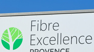 Fibre Excellence: le gouvernement &eacute;carte l'option de la nationalisation
